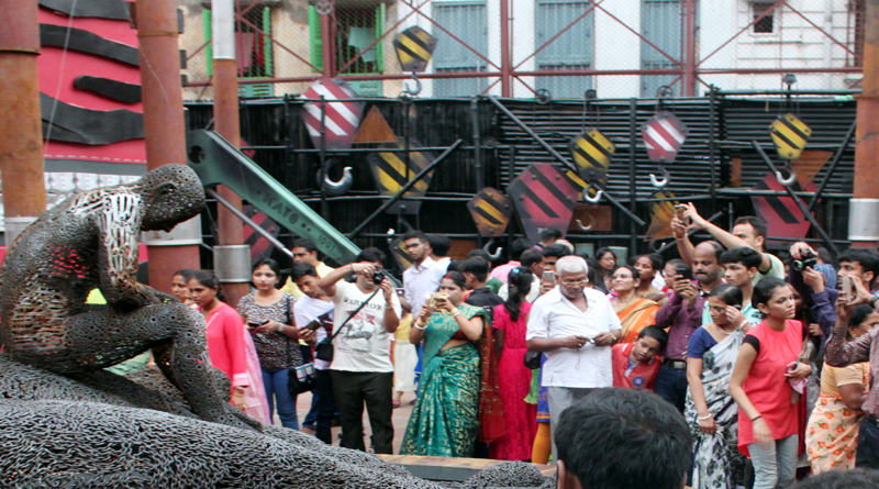 pujo-3_web