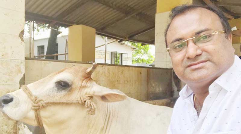 COW-WITH-SELFIE