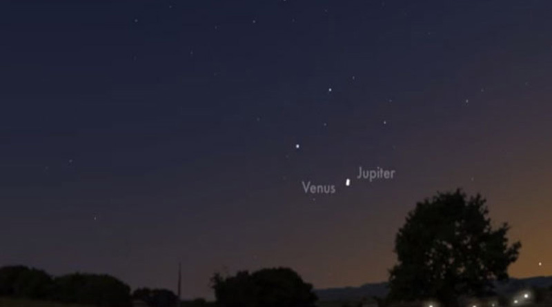 venus_web