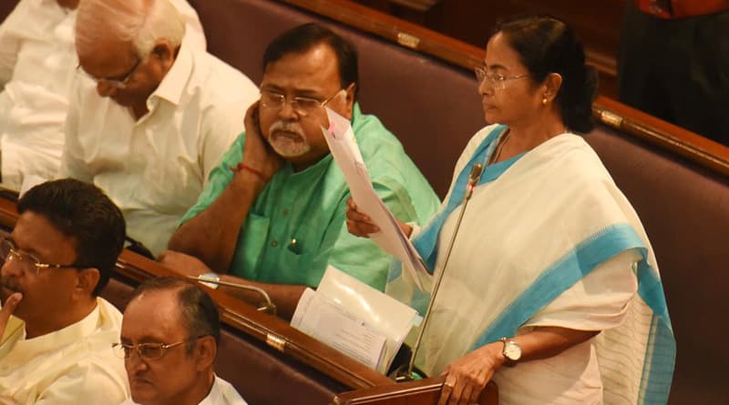 mamata_web