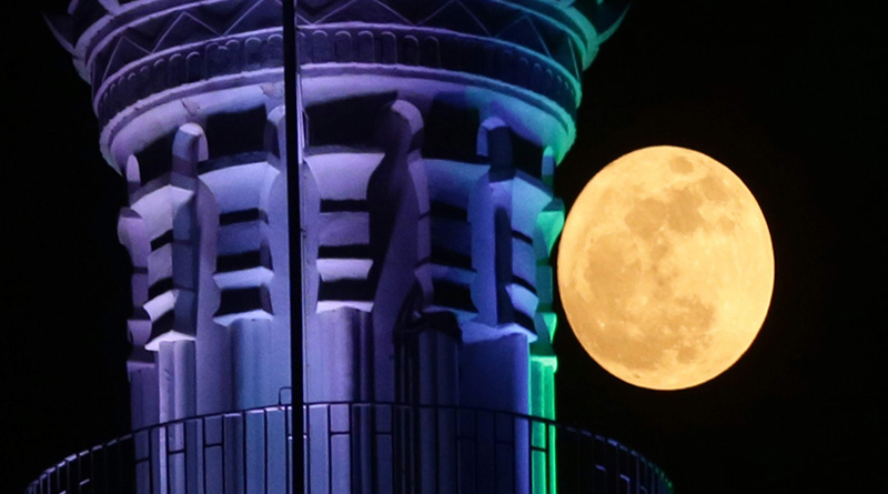 moon_web