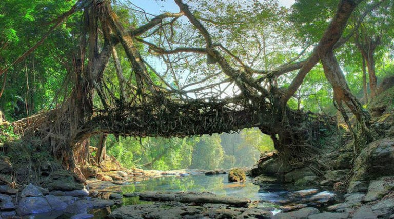 কোথায় আছে এশিয়ার পরিচ্ছন্নতম গ্রাম?