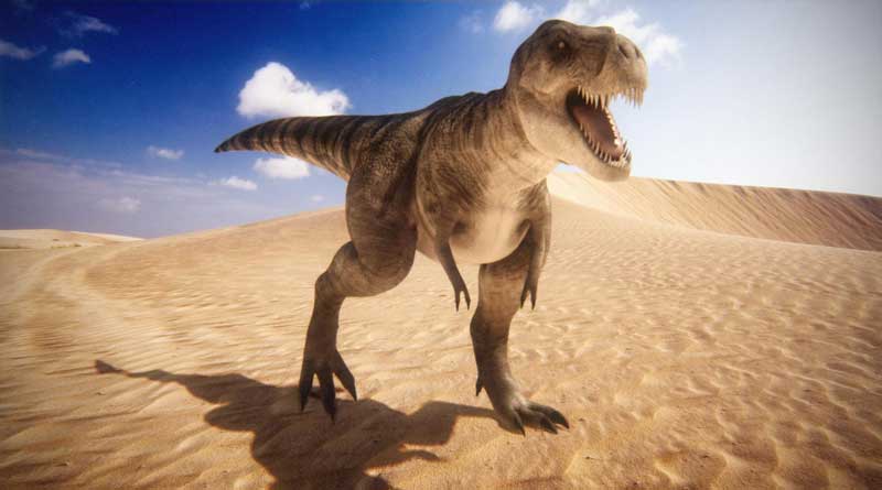 Footprints of 150 million-year-old dinosaurs found in Jaisalmer