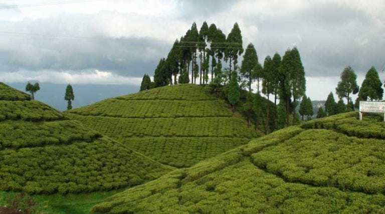 পাহাড়ের নিরিবিলি আর সবুজের কোলে রাংবাং