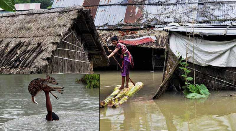 অসম সরকারের বন্যার রিপোর্টে বাংলাদেশের ছবি!