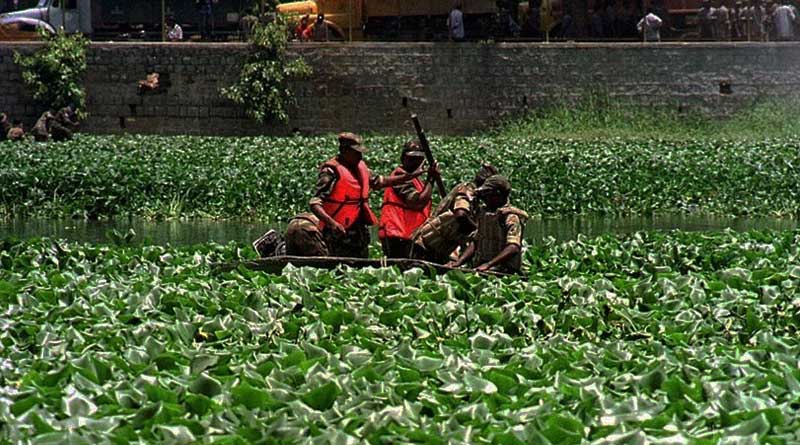 Police jumped in Water hyacinth to caught dacoits