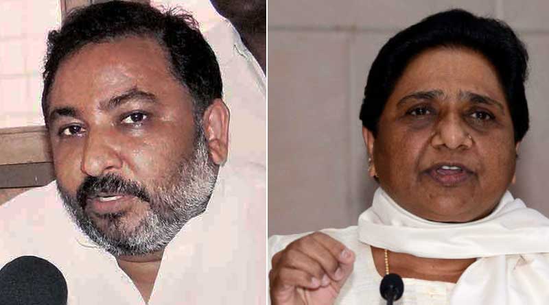 For Abusing Mayawati, BJP's Dayashankar Singh Charged, Expelled