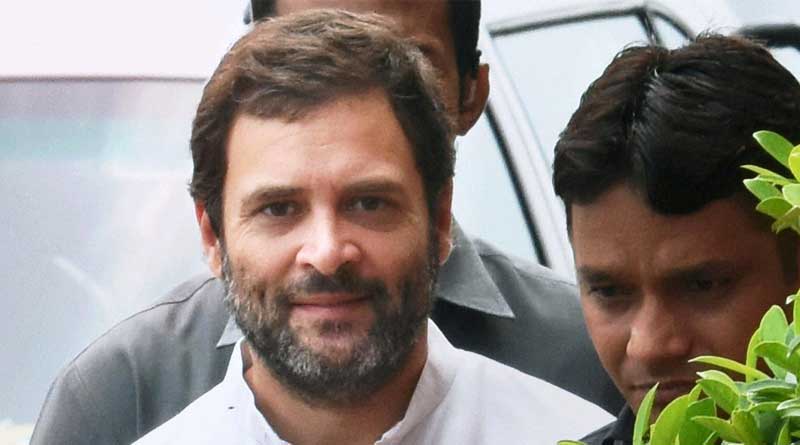গান্ধী হত্যায় আরএসএস-কে দায়ী করে বিপাকে রাহুল