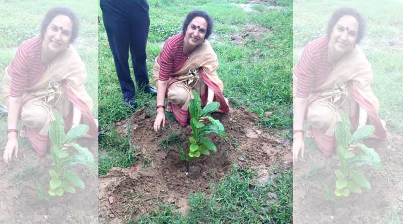 Daughter of a former Air Force officer Planted over 1 Lakh Fruit Trees in a Year