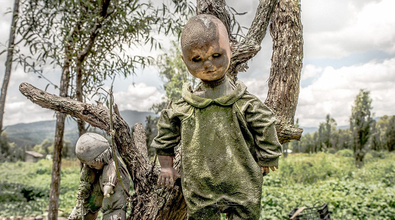 Mexico's Island of the Dolls: A Haunted Place That Will Scare You For The Lifetime