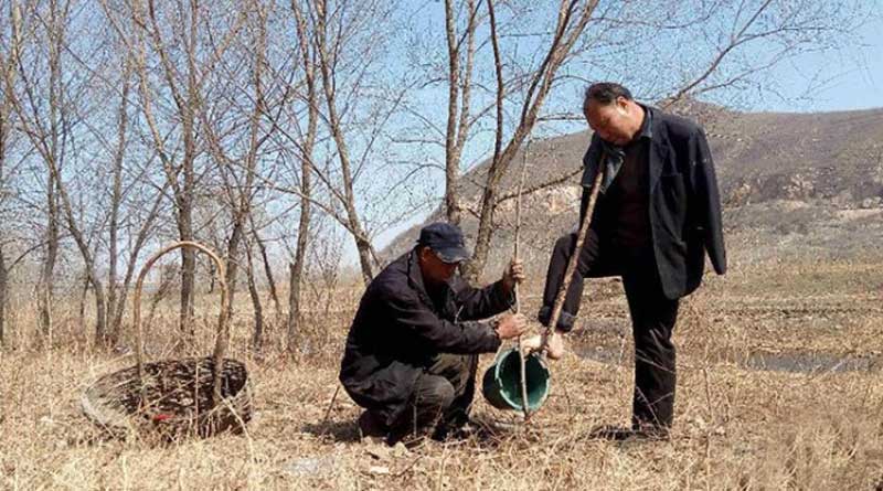 a-blind-man-and-his-armless-friend-have-planted-more-than-12-000-trees-in-a-decade