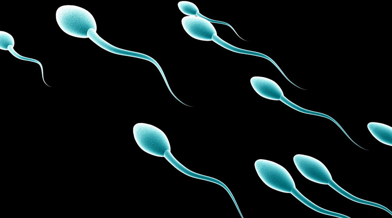 Here are five ways to increase sperm count rapidly