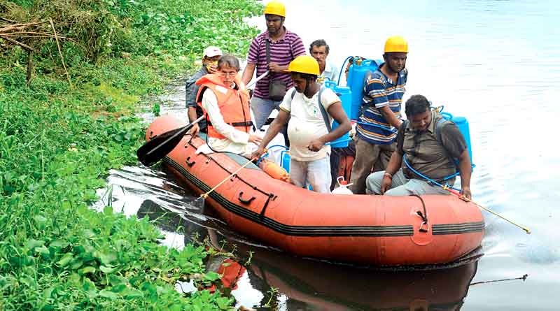 স্কুলে কিলবিল করছে মশার লার্ভা, আক্রান্ত ৭ ছাত্র
