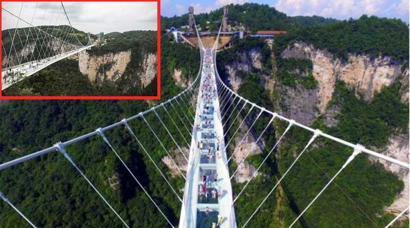 china opens world's highest and longest Glass bridge for visitors