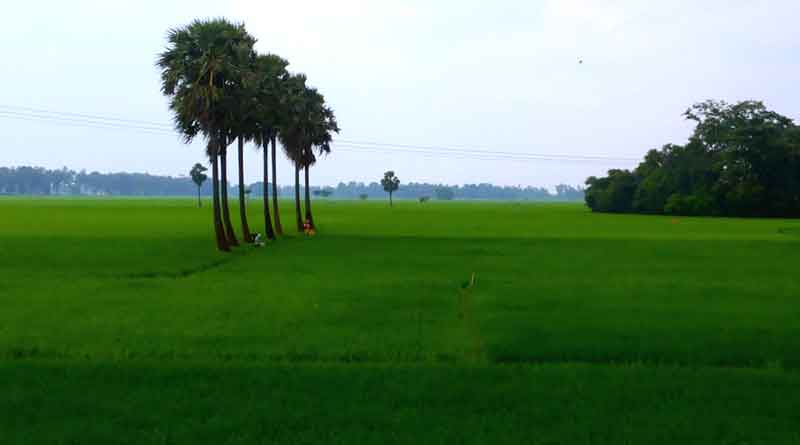 হুগলিও এবার ‘নির্মল জেলা’!