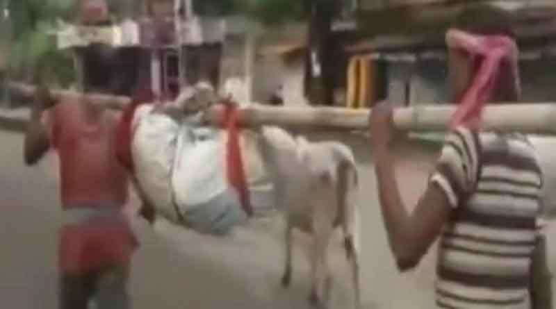 গাড়ি নেই, হাড় ভেঙে বাঁশে ঝুলিয়ে নিয়ে যাওয়া হল মৃতদেহ