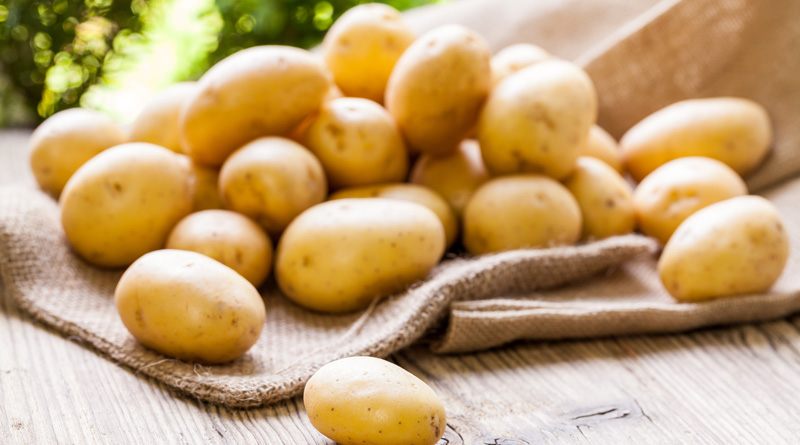 Within 7 Days, 40% Of Stored Potato Going To Hit Market