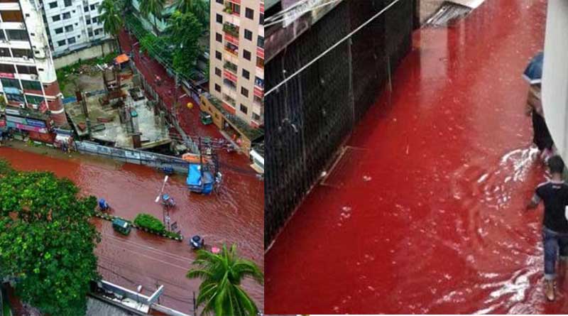 In Eid Animal Blood Flowing Down Dhaka Streets, Picture Viral