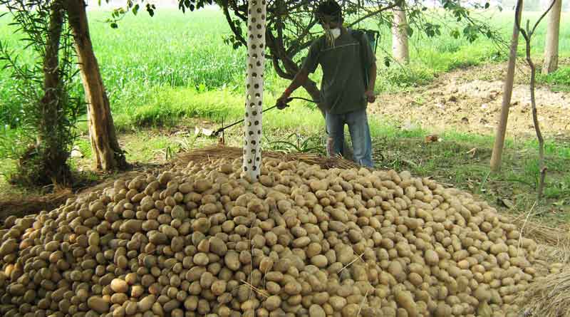 Price of potatoes can’t be increased, says state Government 