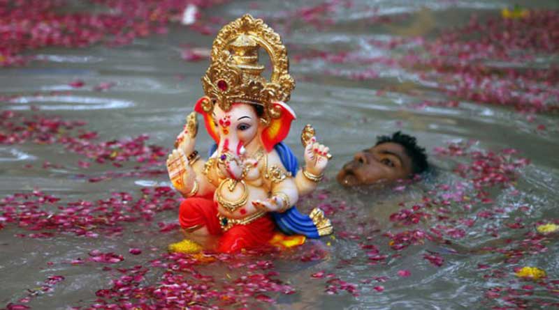 Chemicals from Ganesh idol kill over 300 fish in a Mumbai pond