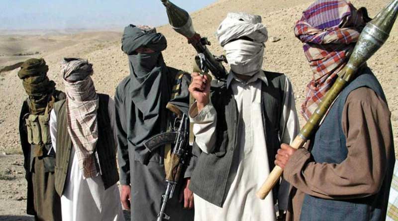 Pak Taliban leader Khalid Haqqani killed in Afghanistan