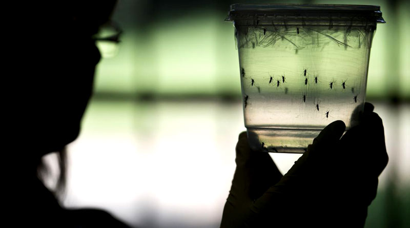 India on the list of nations most likely to be hit by Zika next