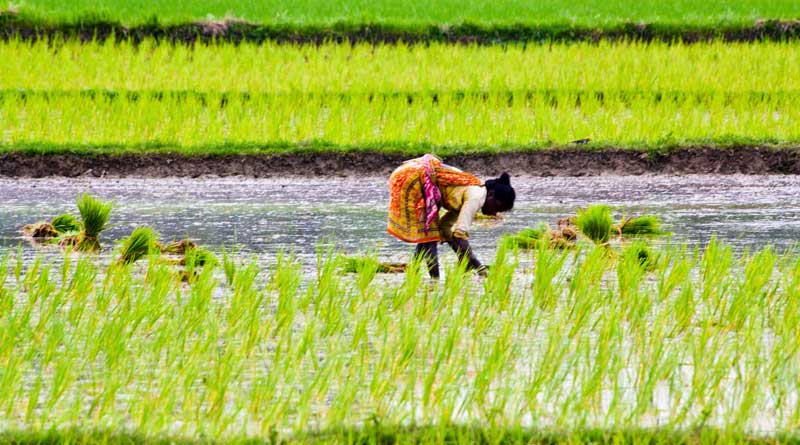 China is interested in investment on the farming sector of Bengal