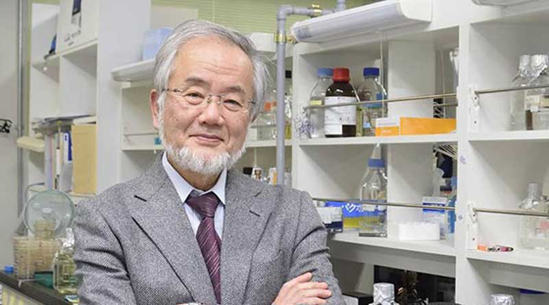 Yoshinori Ohsumi gets nobel prize in medicine