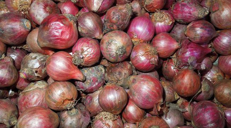 7 Lakh Quintal Onion Rot In Madhya Pradesh