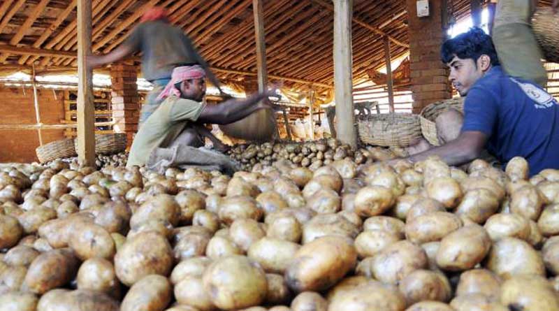 Potato prices burn hole in common men's pocket in West Bengal
