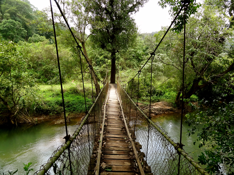 coorg_web