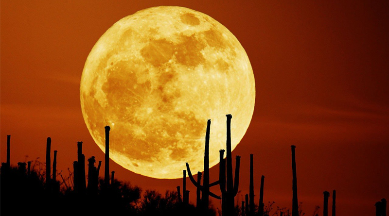 Supermoon will appear on Monday after a gap of 68 years 