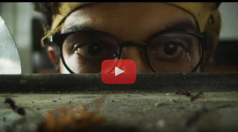 official trailer of short film Trapped staring Rajkummar Rao released 