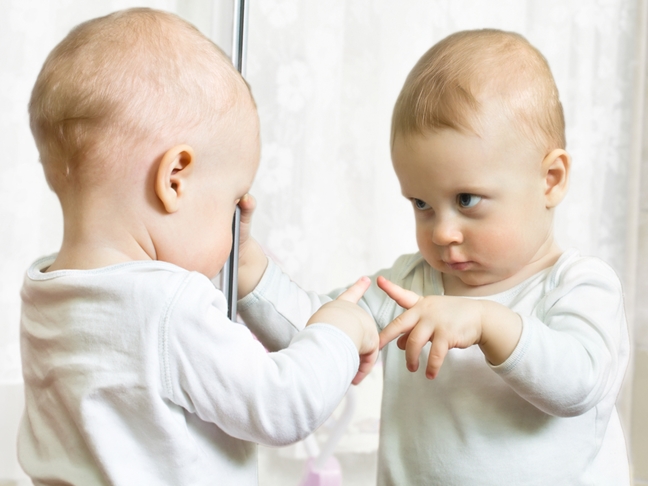 file_101560_0_Baby_Mirror
