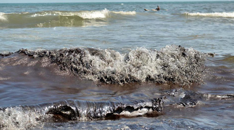 The government has ordered a high- level probe on chennai oil spill