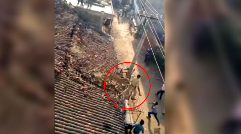 Watch forest official jumps  off roof to escape leopard 