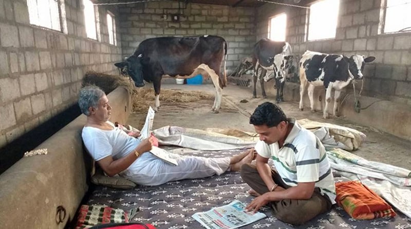 Karnataka BJP lawmaker prefers Cowshed to stay instead of five-star hotel