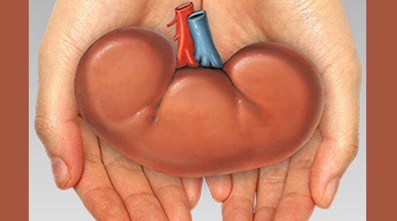  How to protect yourself from kidney Disease