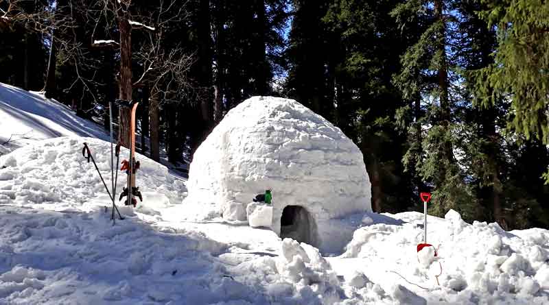 You can now rent and stay in this Igloo of Manali