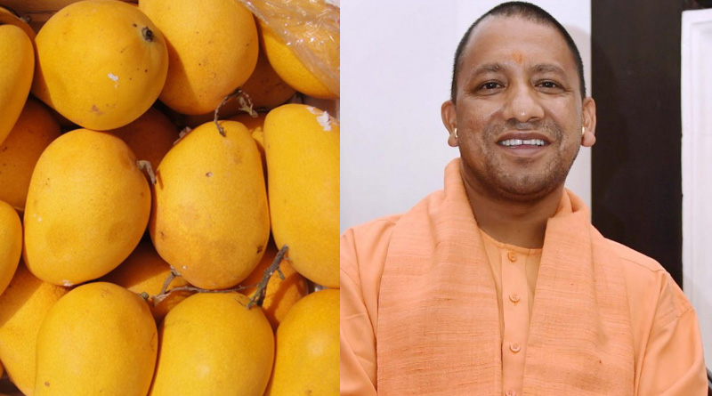 New variety of mangoes named after Uttar Pradesh CM Yogi Adityanath