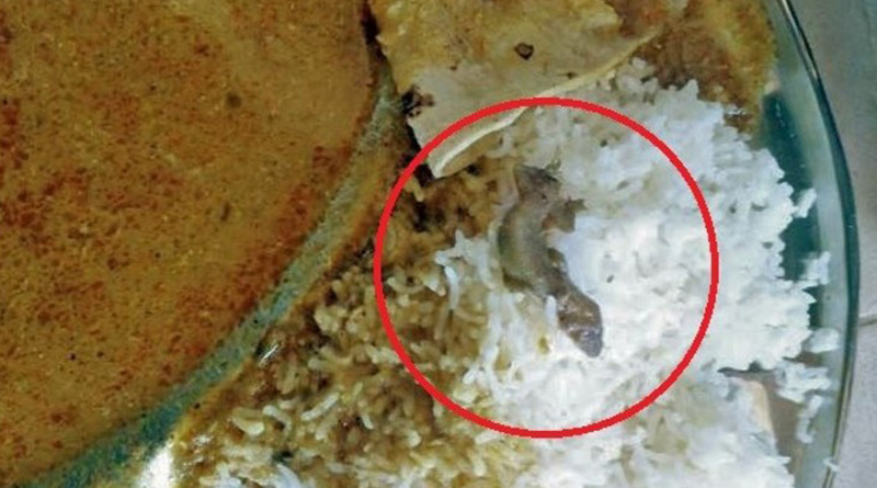 মৃত সাপের পর এবার মিড-ডে মিলে মিলল মরা টিকটিকি