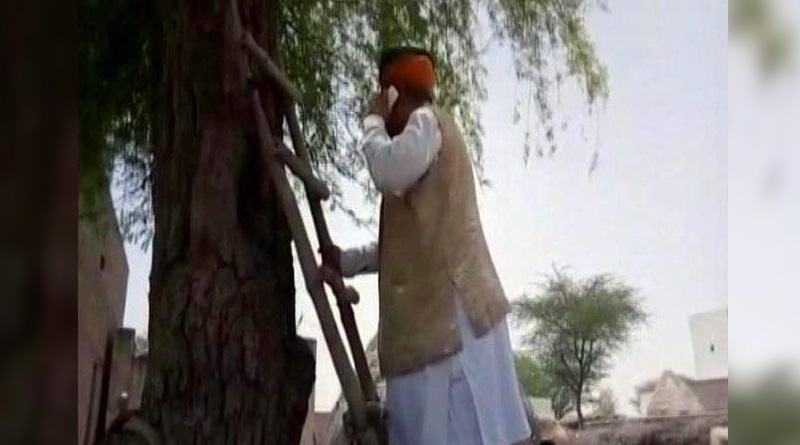 'Digital India': union minister Arjun Meghwal climbed tree for mobile connectivity