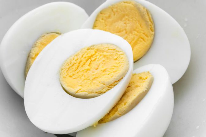 egg