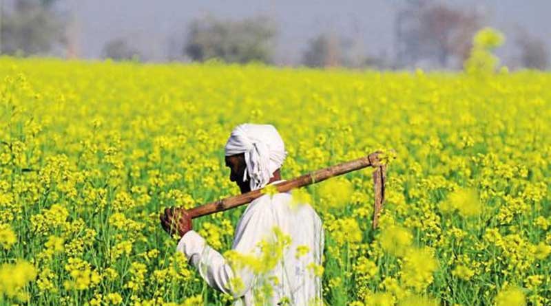 Towing MP line Punjab waives farmers' loan 