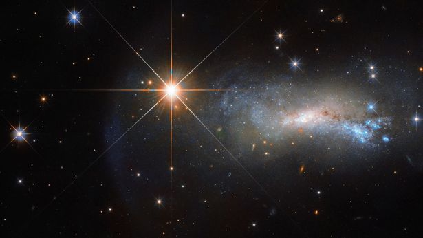 Bright-star
