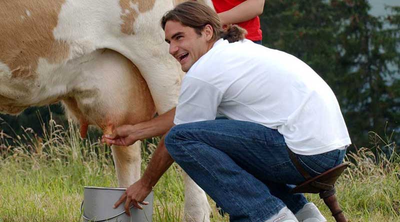 Virender Sehwag admires Roger Federer’s love for cow, shares pic