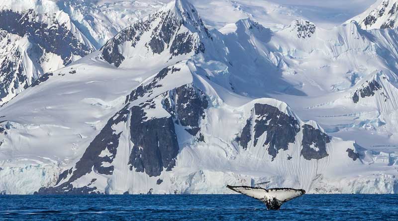 The First Indian Cruise to Antarctica is about to sail
