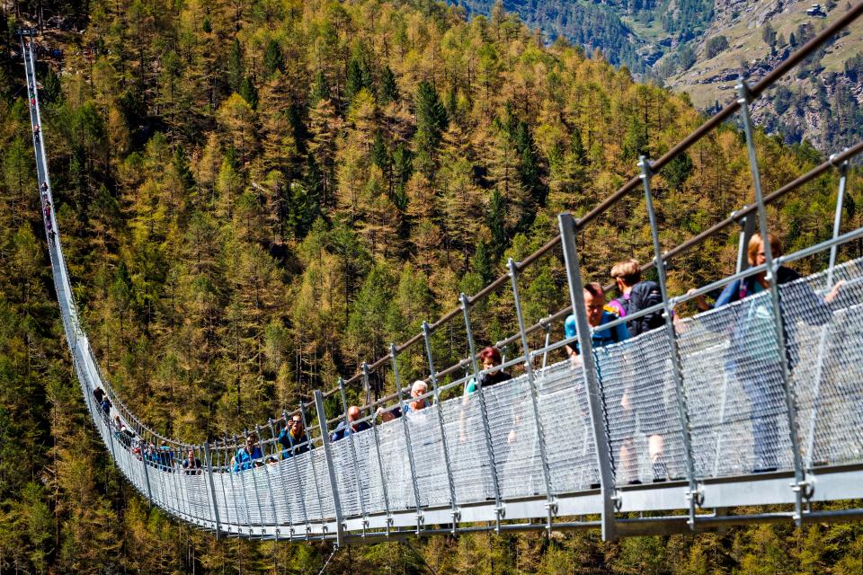 bridge3