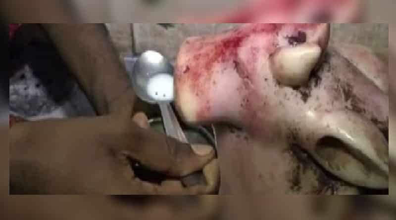 ভক্তদের হাতে দুধ পান করছে পাথরের মূর্তি, যোগীর রাজ্যে শোরগোল