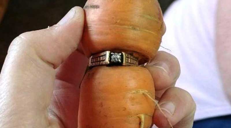 Diamond ring lost 13 years ago while gardening found on misshaped carrot